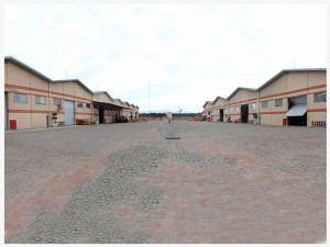 Hemex Logistica